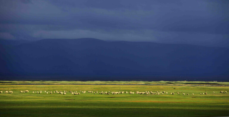 Zhang Hanping - Paradise-on-earth-1